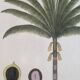 La Roche Laffitte (Born in 1943) - Watercolour drawing on silk - Palm tree