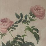Paire de reproductions encadrées roses de P.J Redouté
