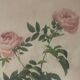 Pair of pink framed reproductions of PJ Redouté