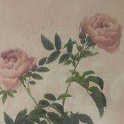 Pair of pink framed reproductions of PJ Redouté