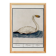 Small poster about the swan, after an old engraving from 1610.