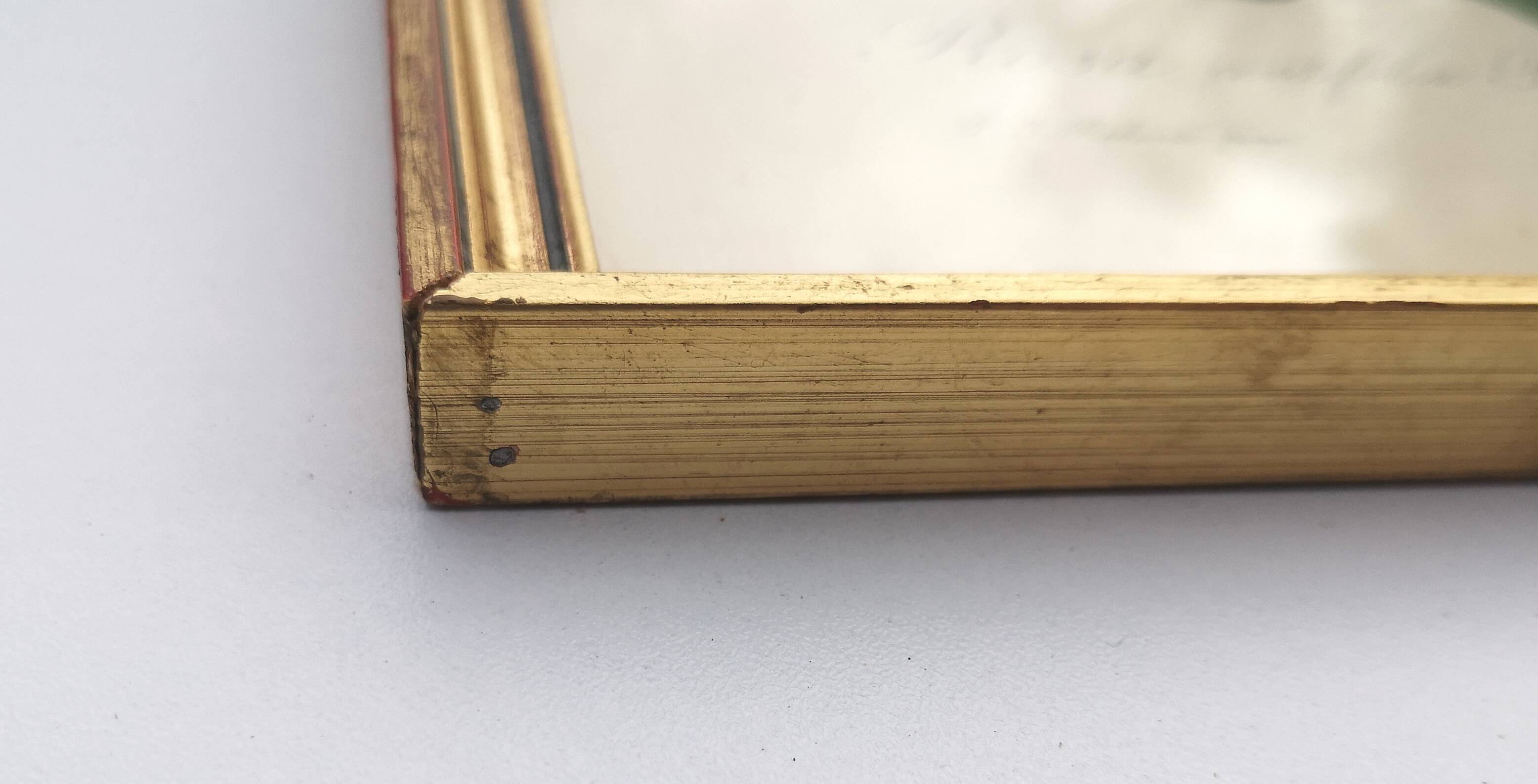 Framed lithograph by Pierre-Joseph Redouté