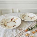 Set of 2 Sarreguemines earthenware soup plates