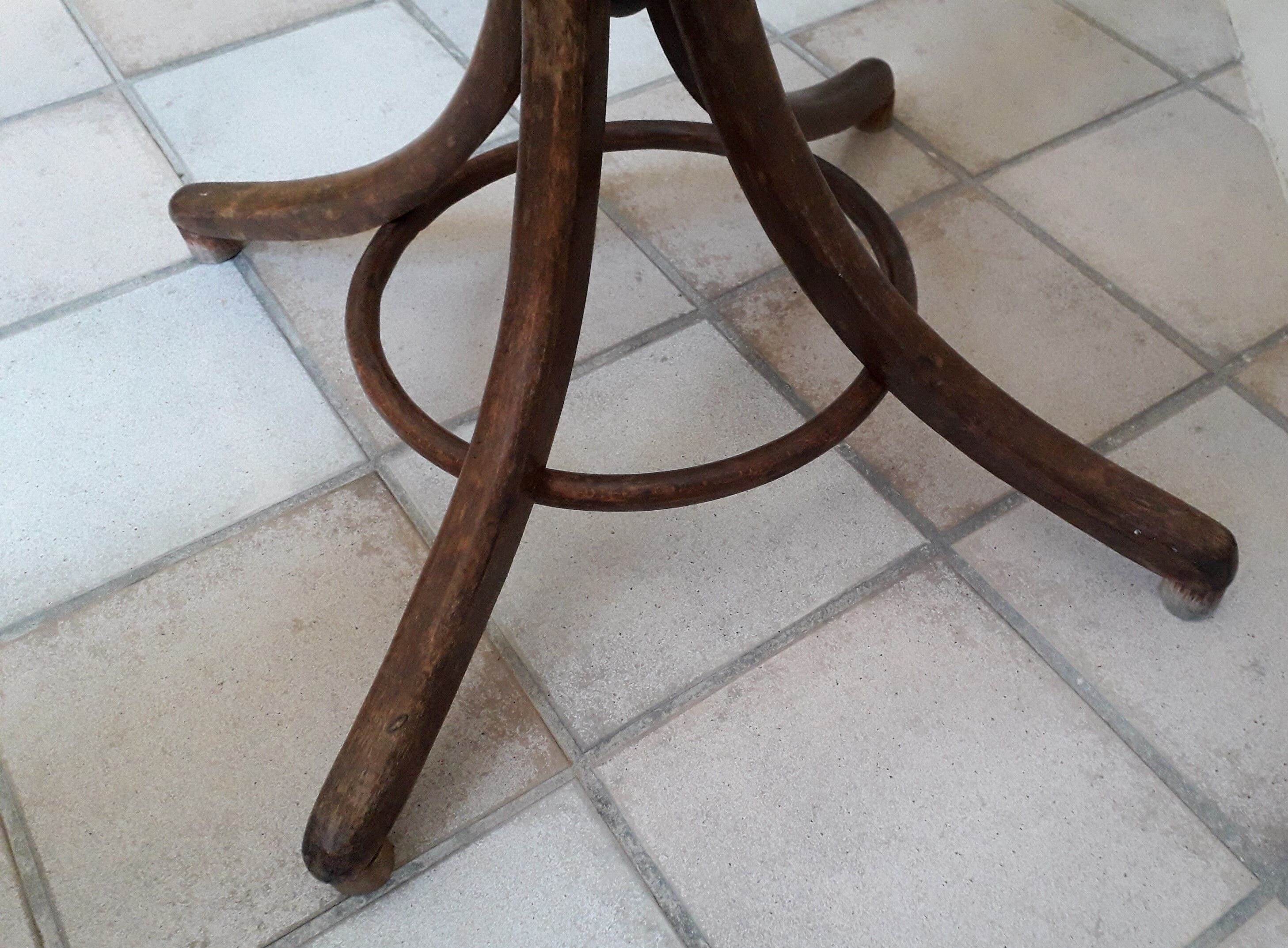 Wooden parrot holder