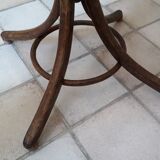 Wooden parrot holder