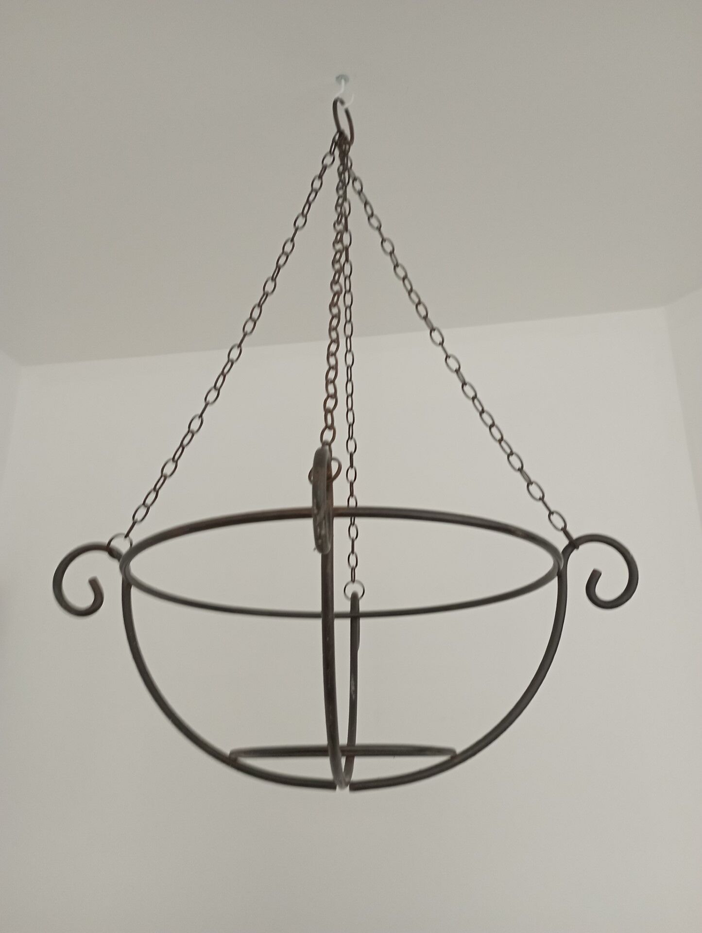 Hanging plant holder