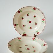Set of 6 mismatched soup plates Badonviller model "Mireille" and Digoin Sarregumeines model