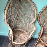 Pair of vintage Emmanuelle armchairs, antique peacock seating furniture