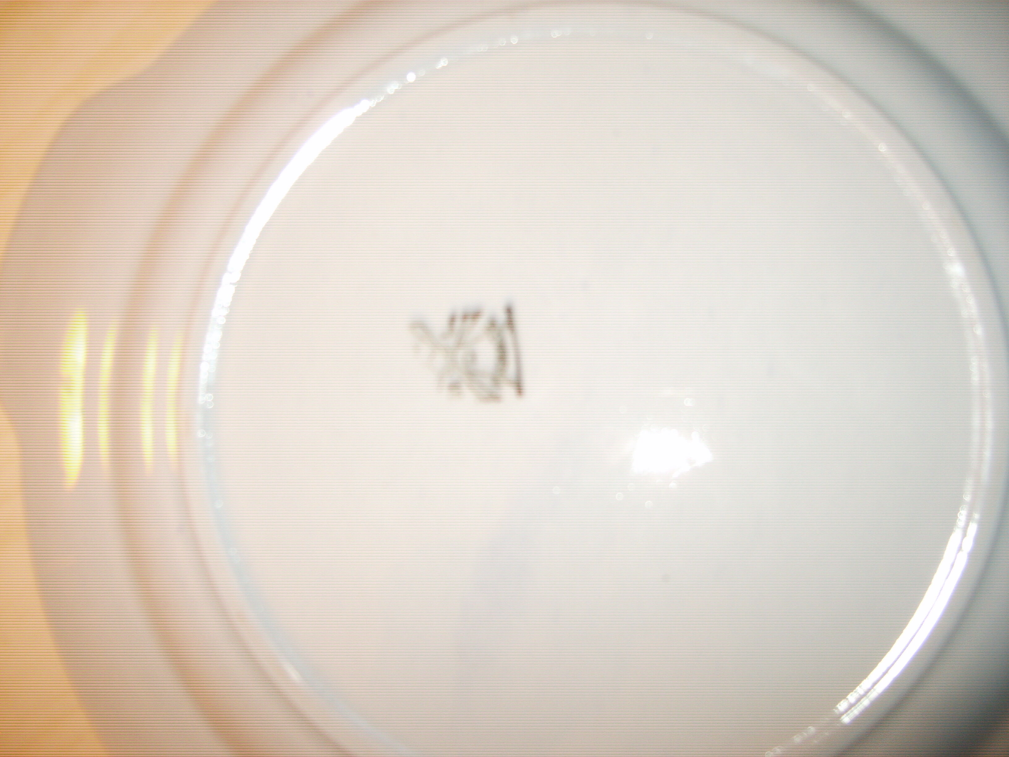 Vintage dessert service Blue Hamage