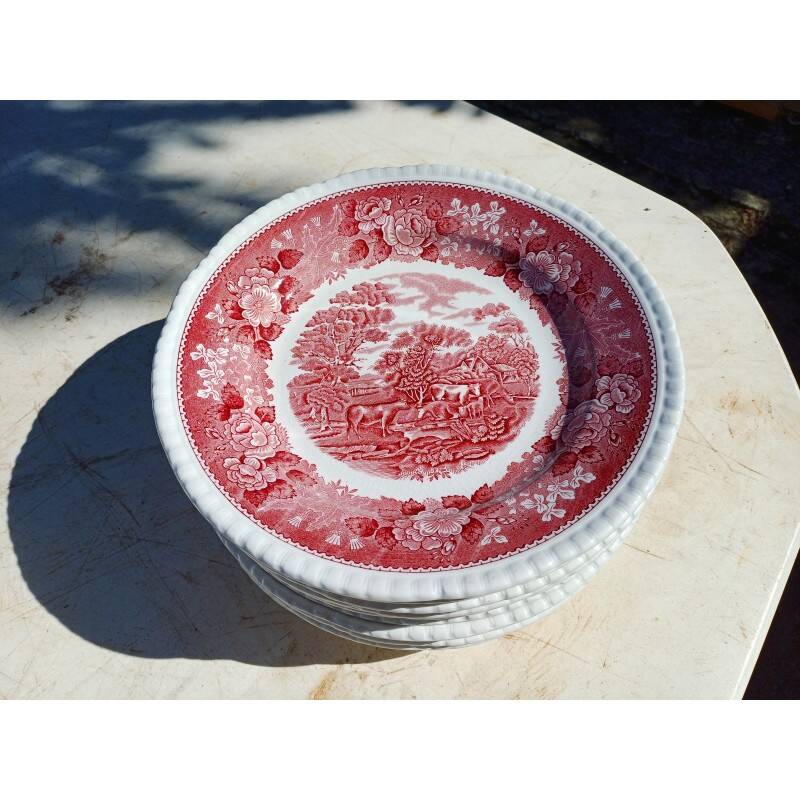 12 earthenware plates from the brand: Adams