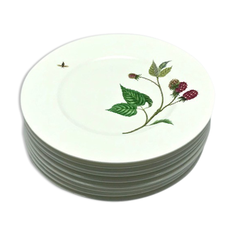 Villeroy and Boch Wildberries plates