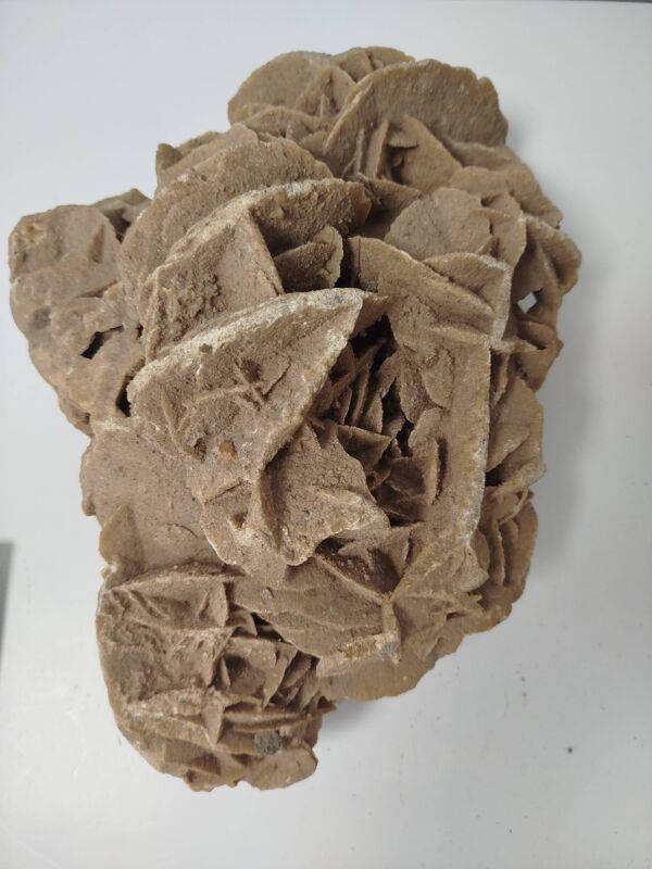 Rose des sables naturelle sculptée par le vent – +7 kg minérale décorative
