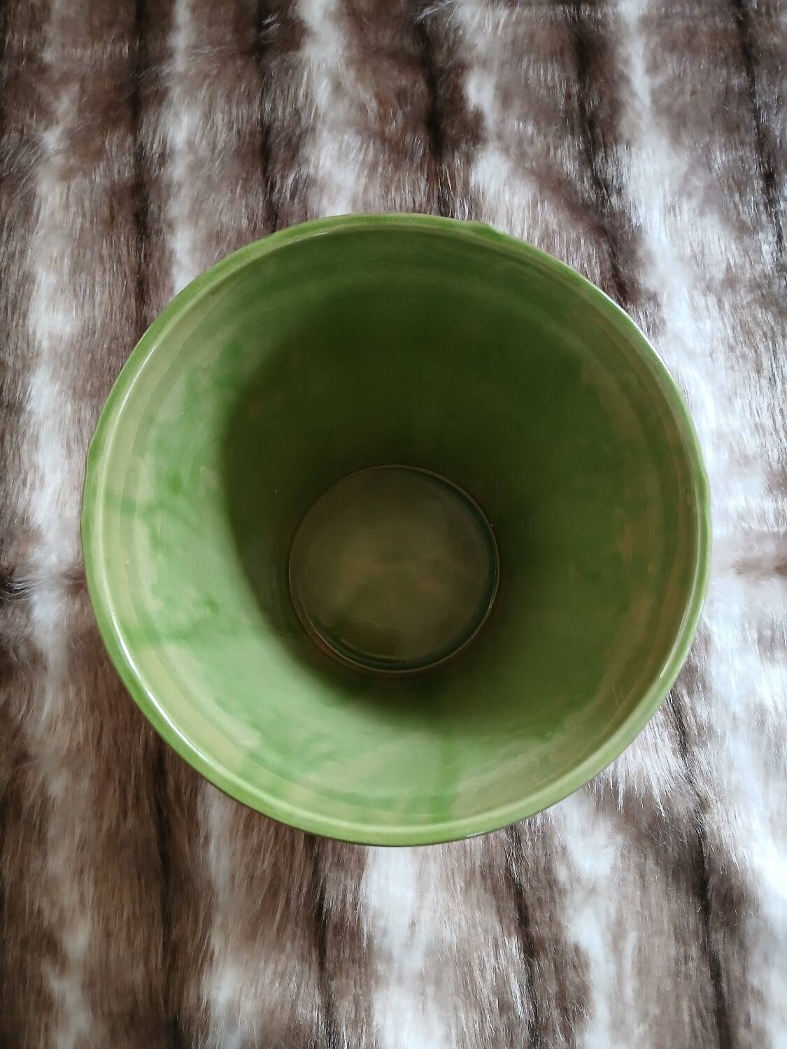 Pot / plant or flower in terracotta