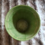 Pot / plant or flower in terracotta