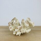 Old white coral 20 cm