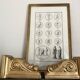 19th century engraving with antique motifs under glass