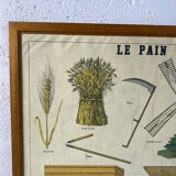 50's vintage "bread" school poster