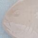 Digoin fish dish Sarreguemines