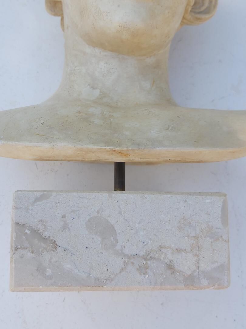 Plaster and marble bust