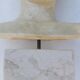Plaster and marble bust