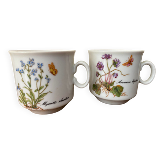 lot de 2 tasses décor fleurs  Kronester Bavaria