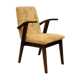 Armchair Type 300-123 by Mieczysław Puchała, 1950s
