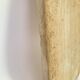 Butcher's cutting board with handle