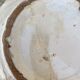 Antique dish with deer pattern