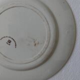 4 assiettes creil & montereau modèle chardonnerets décor oiseaux sépia