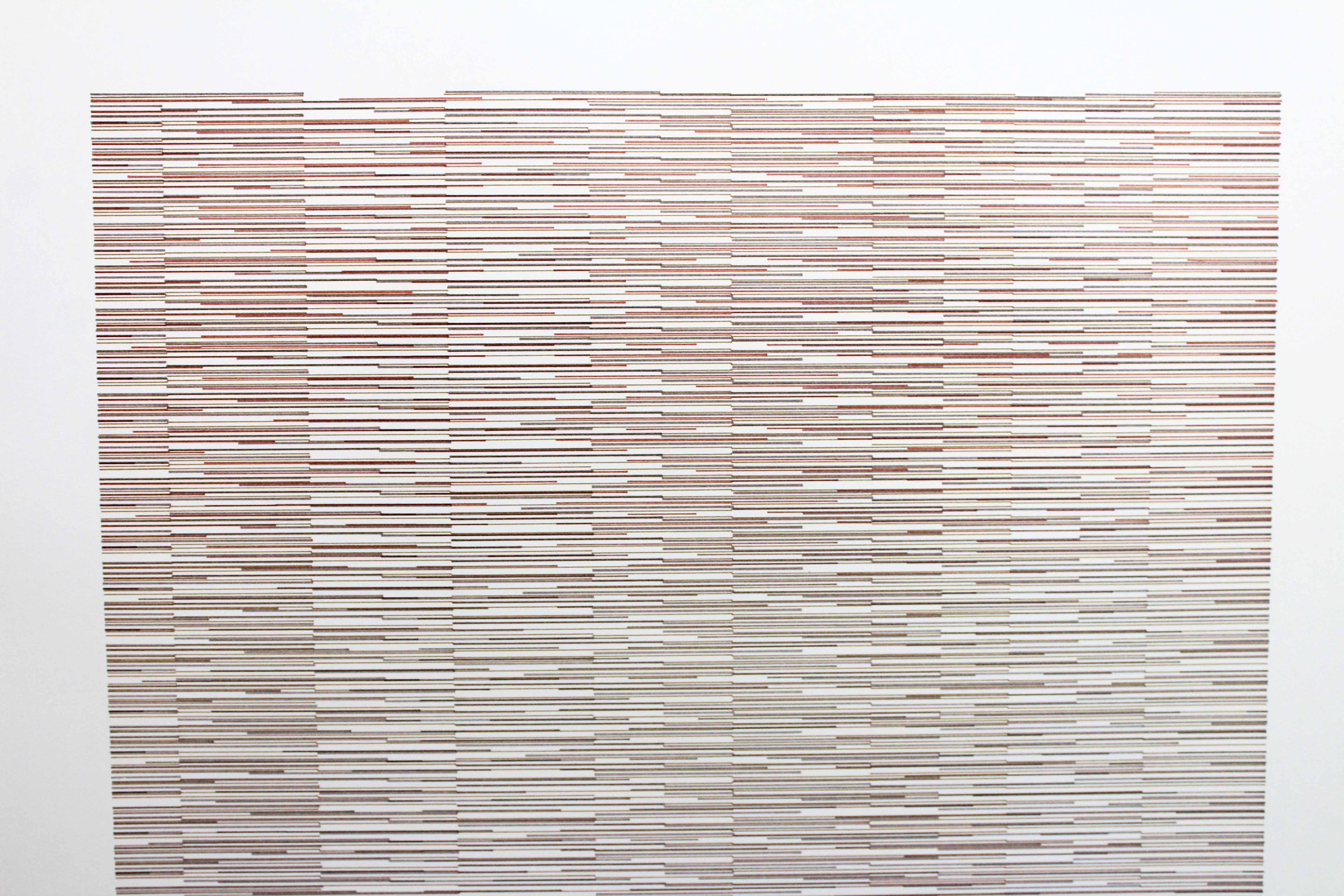 Manfred Maier Printing 1976