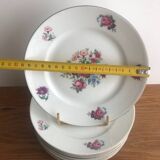 8 Limoges Porcelain Dessert Plates Signed PCL Fleurs 🌺 France