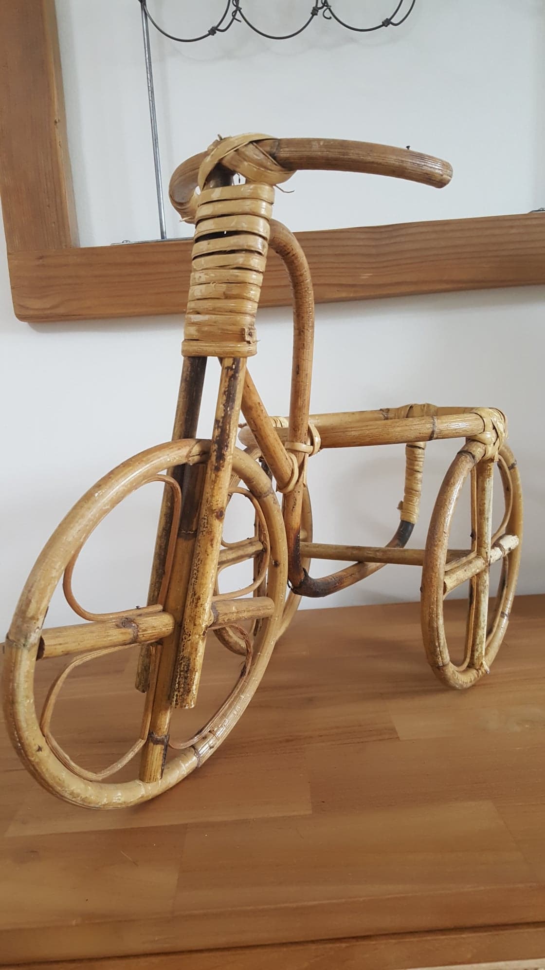 Rattan tricycle plant door