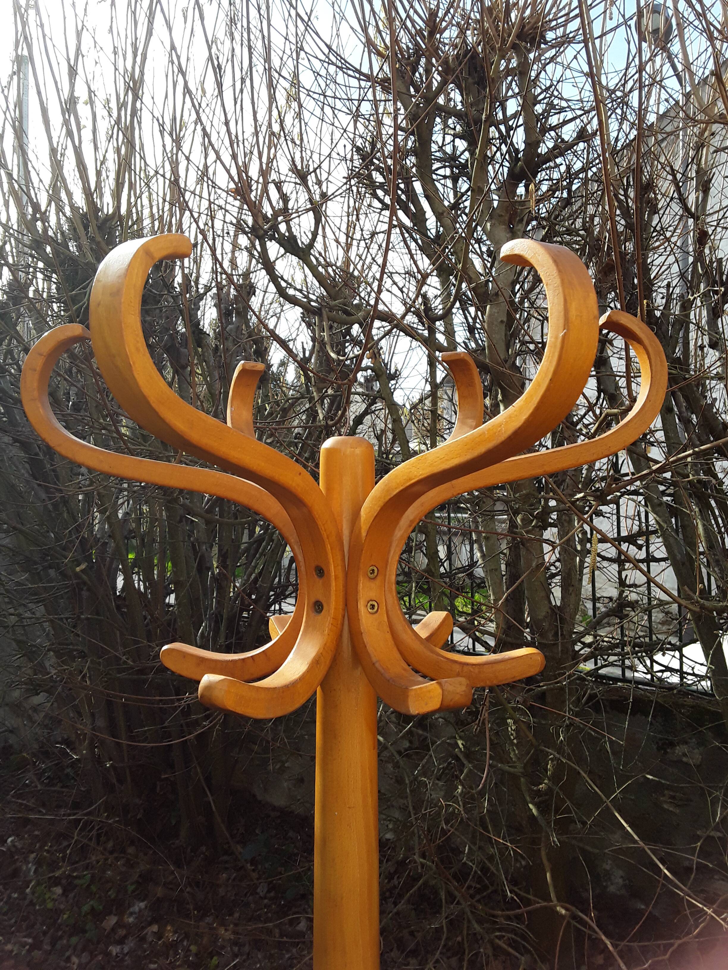Baumann parrot coat holder