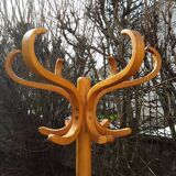 Baumann parrot coat holder