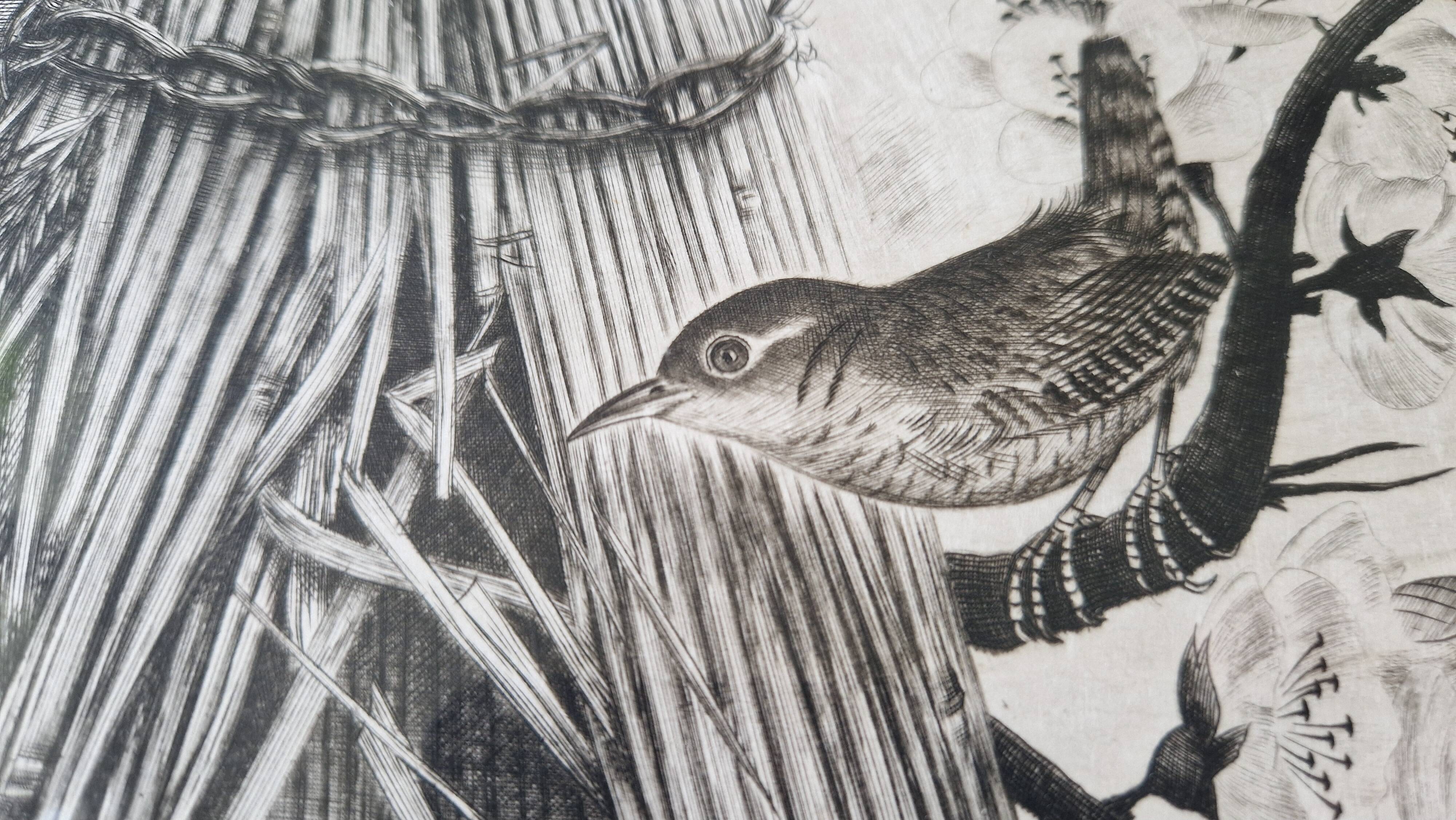 Original engraving / engraving by JB Tavy Notton, "The troglodyte", circa 1970