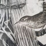 Original engraving / engraving by JB Tavy Notton, "The troglodyte", circa 1970