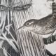 Gravure / burin original de JB Tavy Notton, "Le troglodyte", circa 1970