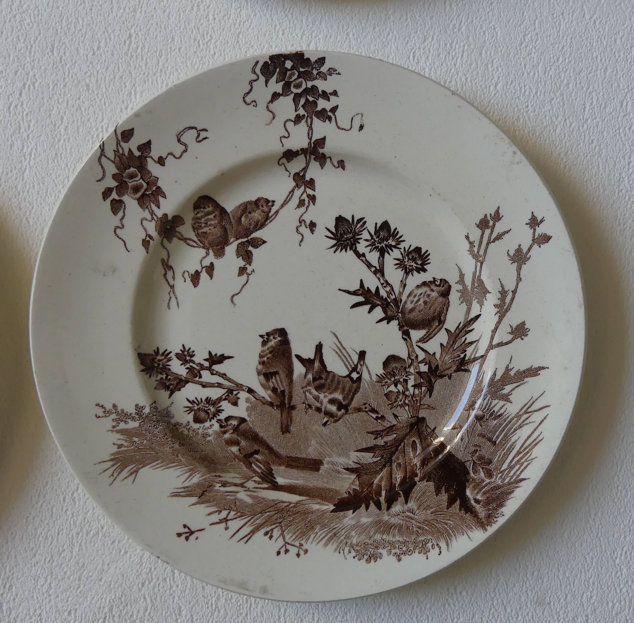 4 plates creil & montereau chardonnerets model with sepia birds decor