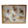 Framed giant insects, entomology collection