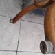 Antique parrot coat rack signed THONET