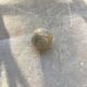 Polished stone ball sphere