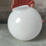 Shell bedside lamp