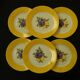 6 flat plates in porcelain from LIMOGES. Fruit decoration.