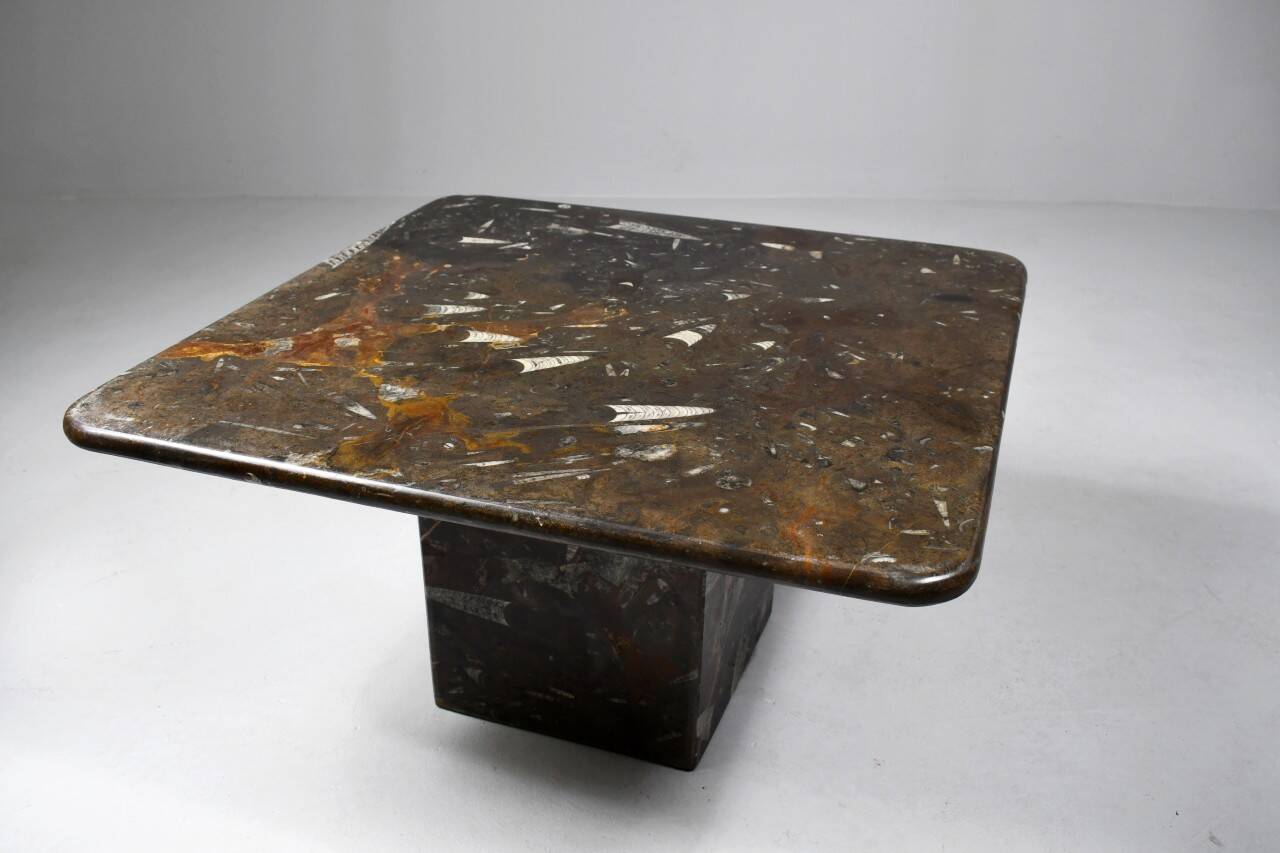 Vintage fossilized stone coffee table