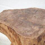 Old log