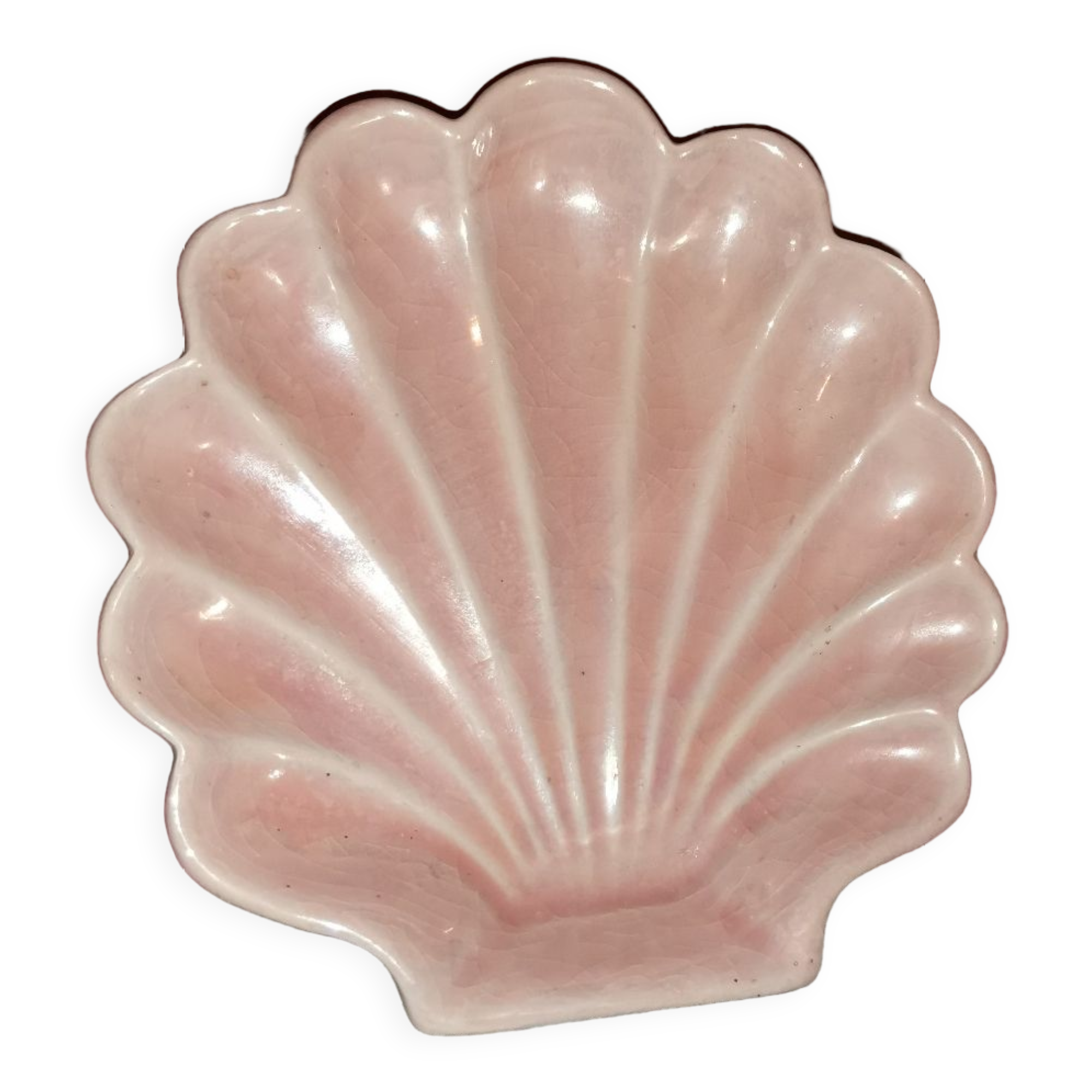 Pearl pink shell