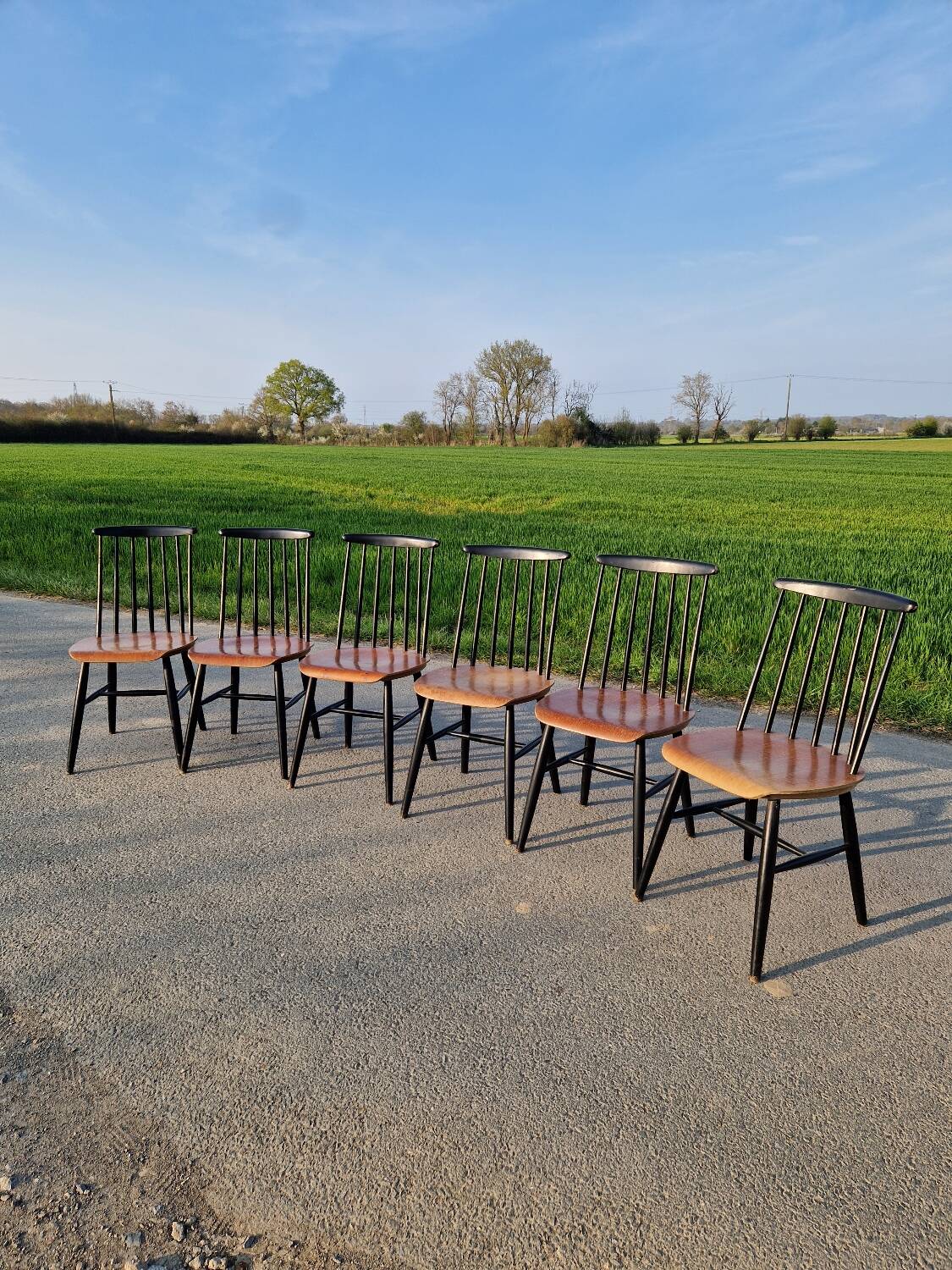 Set of 6 Fannett Scandinavian chairs by Ilmari Tapiovaara 1960.
