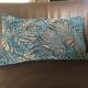 Paire de coussins