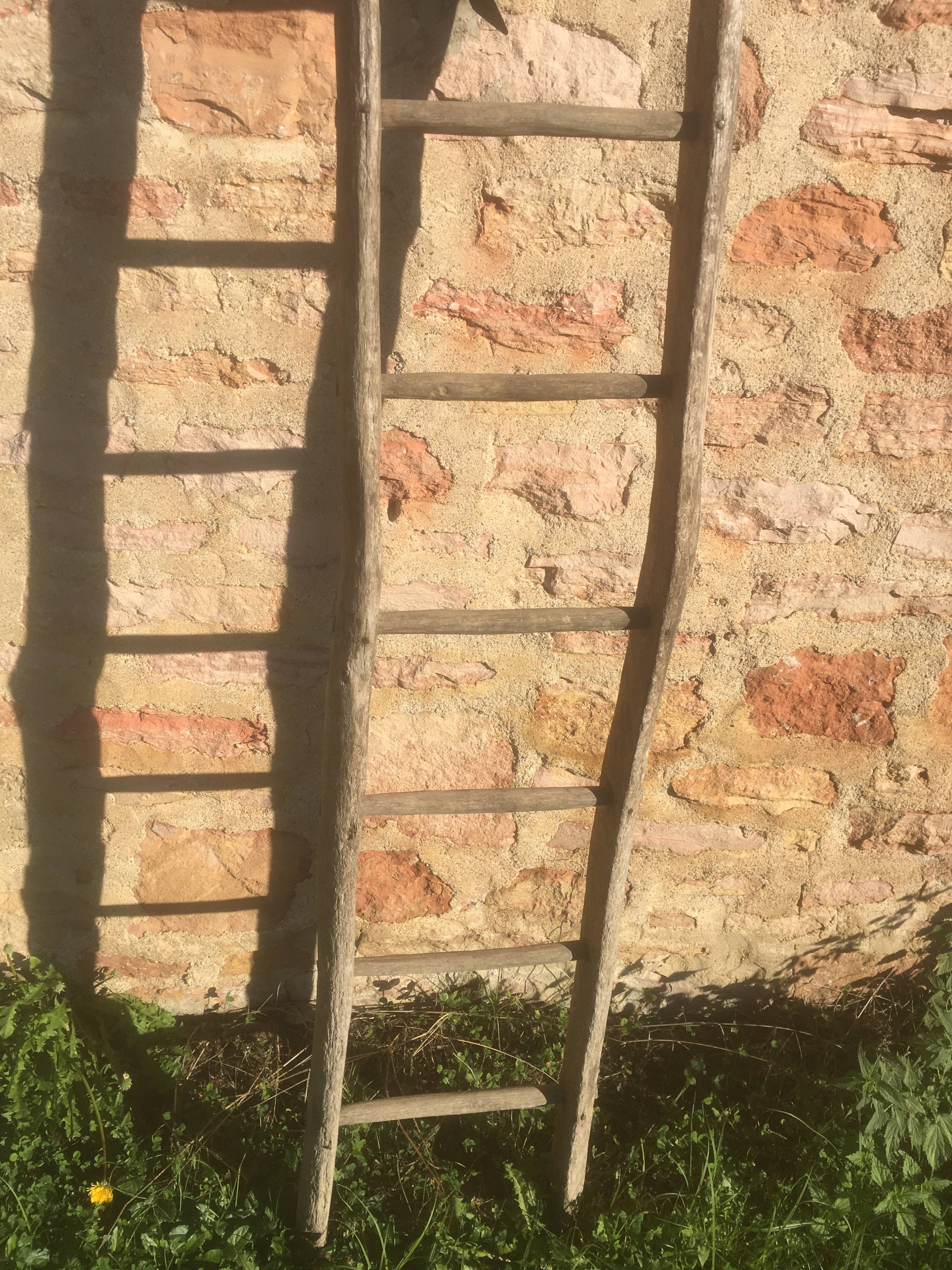Acacia farm ladder 3/40s