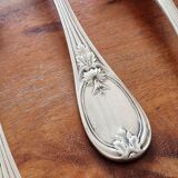 Christofle - Set of 11 dessert spoons in the Trianon model made of metal.
